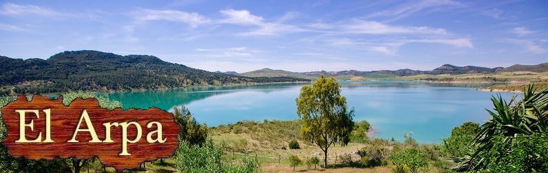 Migratory birds on the lake in front of El Arpa