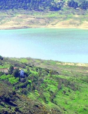 Onze finca is een meer dan 100 jaar oude Andalusische boerderij, gelegen op een 5 hectare groot perceel.