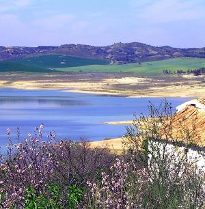 vr finca r en mer n 100 r gammal Andalusisk grd.