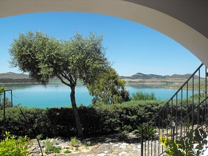 La vue depuis les terrasses au rez de chausse